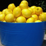 Lemons on Table