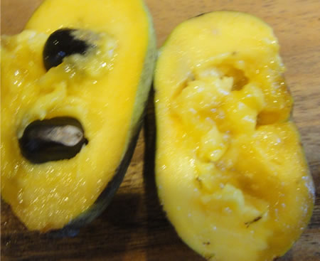 PawPaw Cut Open