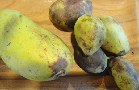 PawPaw on Cutting Board 