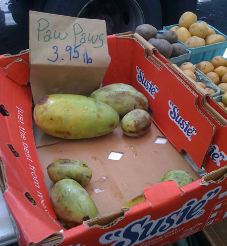 PawPaw in Box