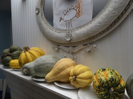 A Selection of Pumpkins