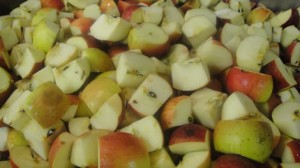 Cut Apples for Josephine's Feast Apple Butter