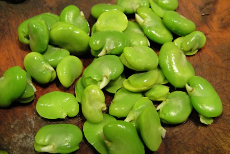 Fava beans Shelled