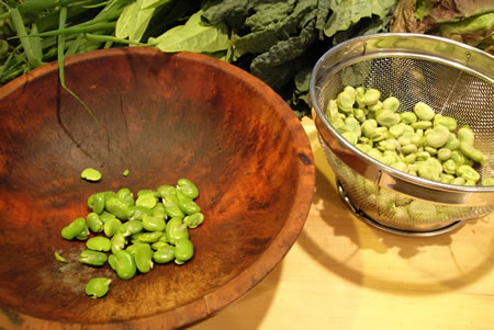 shelling fava beans