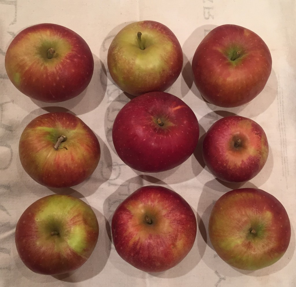 Pippin Apples